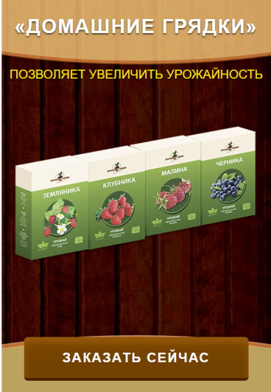 www sedek ru выращивание клубники