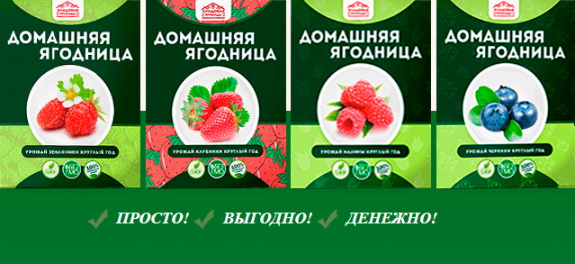 домашняя ягодница купить в новосибирске